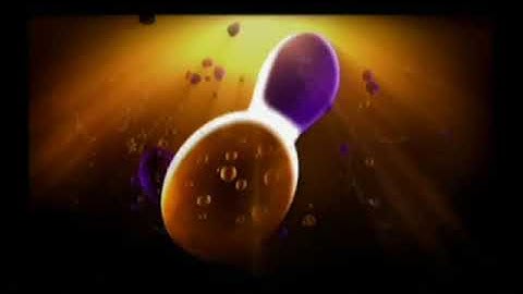 Bink Video / Nickelodeon Movies / THQ / Blue Tongue (2006)