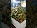 pesta durian guys... #remix #music #dj #fypシ゚viral #edm #electronicmusic #automobile #kitchen