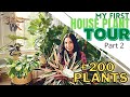 My First House Plant Tour - PART 2 // More than 200 plants!