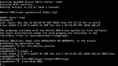 CVE-2010-3081 exploit for Debian Linux