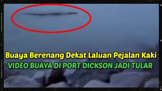 Buaya Besar Muncul Di PD Waterfront‼️Pengunjung Terkejut Nampak Buaya Dekat Tebing
