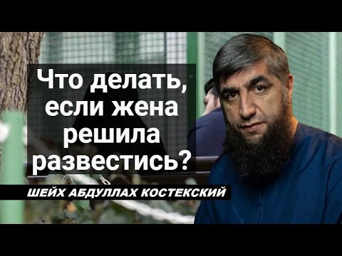Что делать, если жена решила развестись? - шейх Абдуллах Костекский