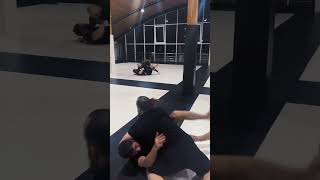 grappling sparring in russian world training fight workout boxing mma grappling wrestling