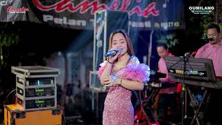 Download Lagu CAMELIA MUSIC - SURAT TERAHIR - ENY MONRE - WEDDING WILDAN \u0026 JANNAH - WEDUSAN DUKUHSETI PATI MP3