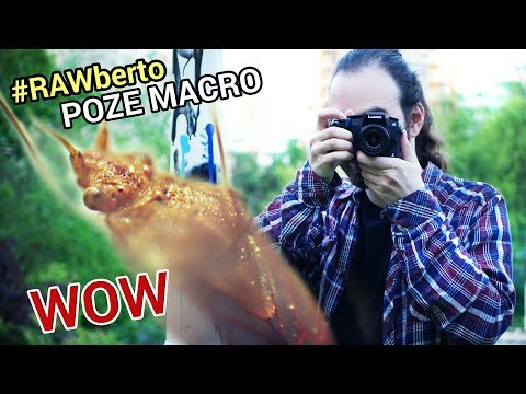 Video: Cum Să înveți Să Faci Fotografii Macro Frumoase