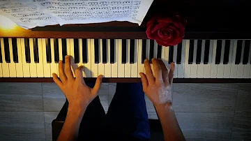 موسيقى لاغنيه زهرة المدائن