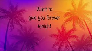 The Wanted - Summer Alive (Lyrics)