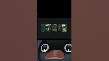 CSS animation learn day 14/365 #coding #cssanimation #css