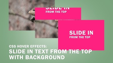 CSS Image Hover Effects: Slide in Text from the Top with Background