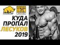 🔥  КУДА ПРОПАЛ ЛЕСУКОВ