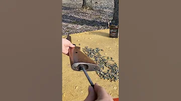 Winchester Model 74 22lr People Will Say The End Is Fake Shorts Viral Youtubeshorts 