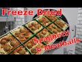 Freeze Dried Spaghetti & Meatballs -- Perfect Portions Using the Tray Dividers