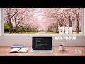 3H Day Focus Pomodoro | 50/10 Study Timer | Sakura Park Window