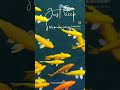 Keep Swimming #shorts #healthyrelationships #selfcare #mindfulness #motivation
