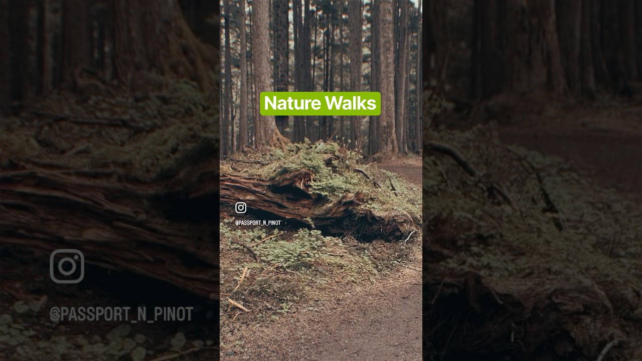 Exploring Nature