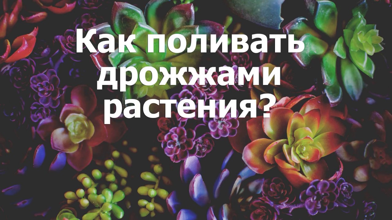 Стабилизатор напряжение обозначение на схеме Стабилизатор напряжение обозначение на схеме