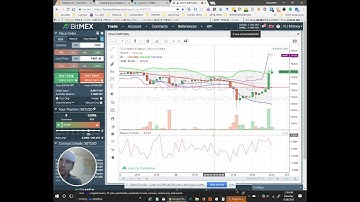 Stop Market Orders on bitMEX