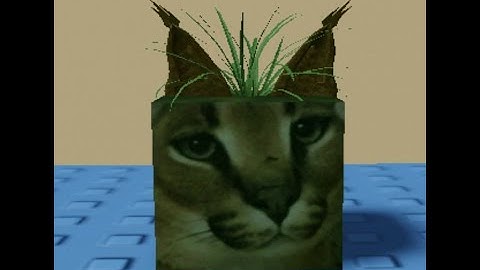 How to Find "Grass Floppa" In Find the Floppa Morphs