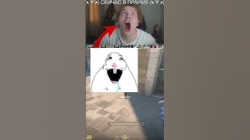 twitch: StRoGo HOMYAK (CS2) #StRoGo #строго #csgo #cs #faceit #tiktok