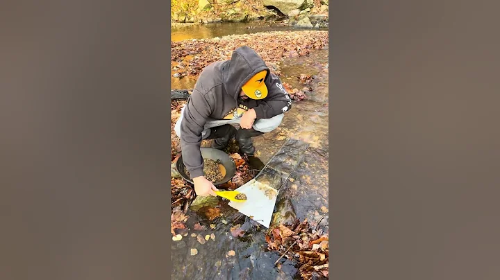 Virginia Sluice Gold Prospecting