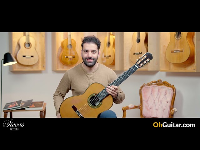 Andrea Tacchi 2016 Coclea Cedro Ego No. 386 Classical Guitar Review