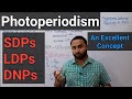 Photoperiodism | SDPs | LDPs | DNPs | Role of Phytochromes | Class 12 Biology