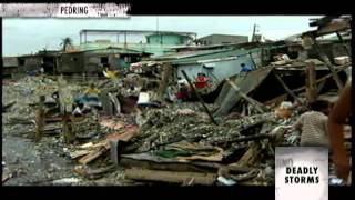 Surviving 2011: The ANC Yearend Report 1/4