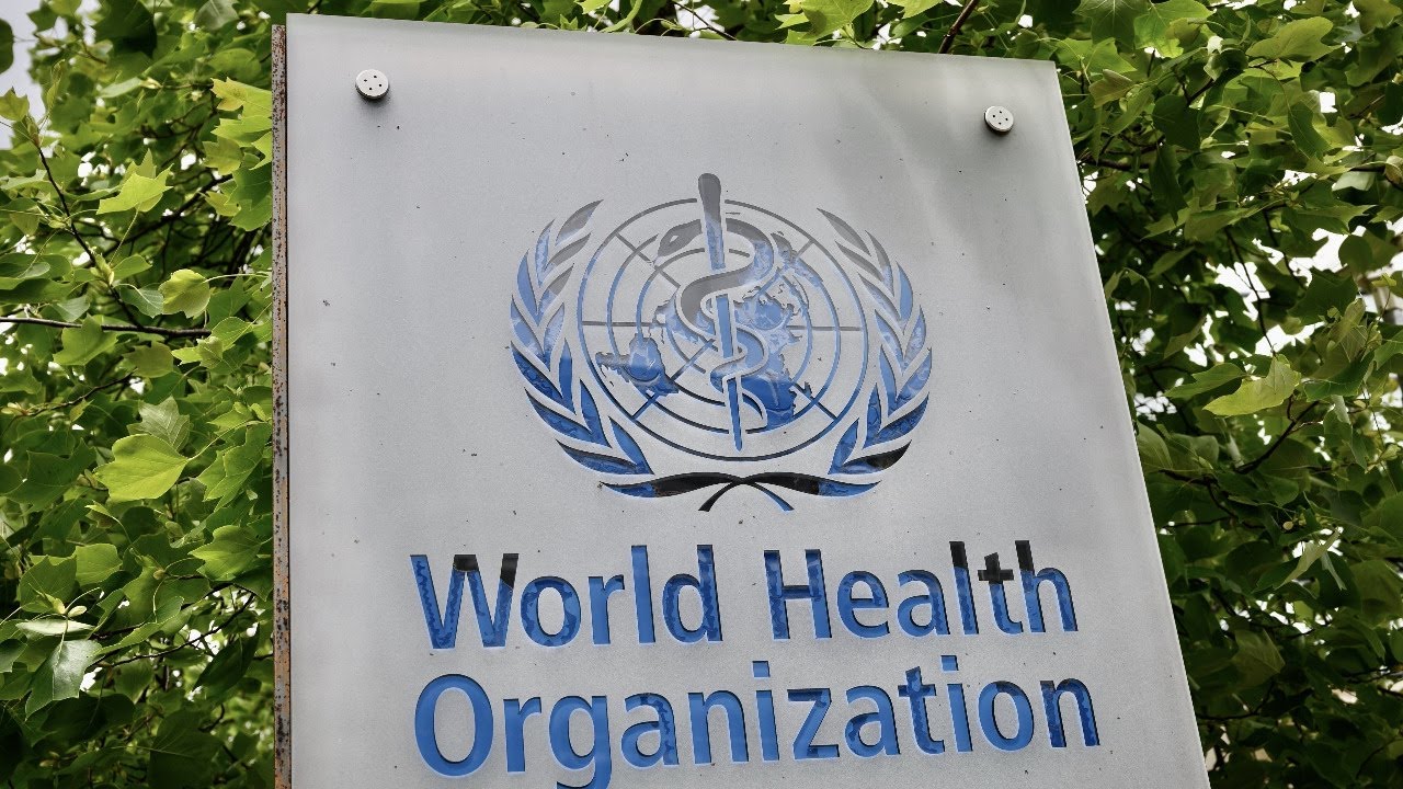 World Health Organization holds news conference on violence against women study
