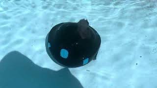 Temu robo pool vacuum compared to Temu manual vacuum