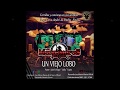 UN VIEJO LOBO - LOS MEROS MEROS DE LA SIERRA
