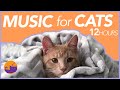 Over 12 HOURS of Calming Music for Cats - DEEPLY SOOTHING