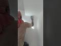 putti palis #shortsfeed #shorts #trend #shortvideo #painting