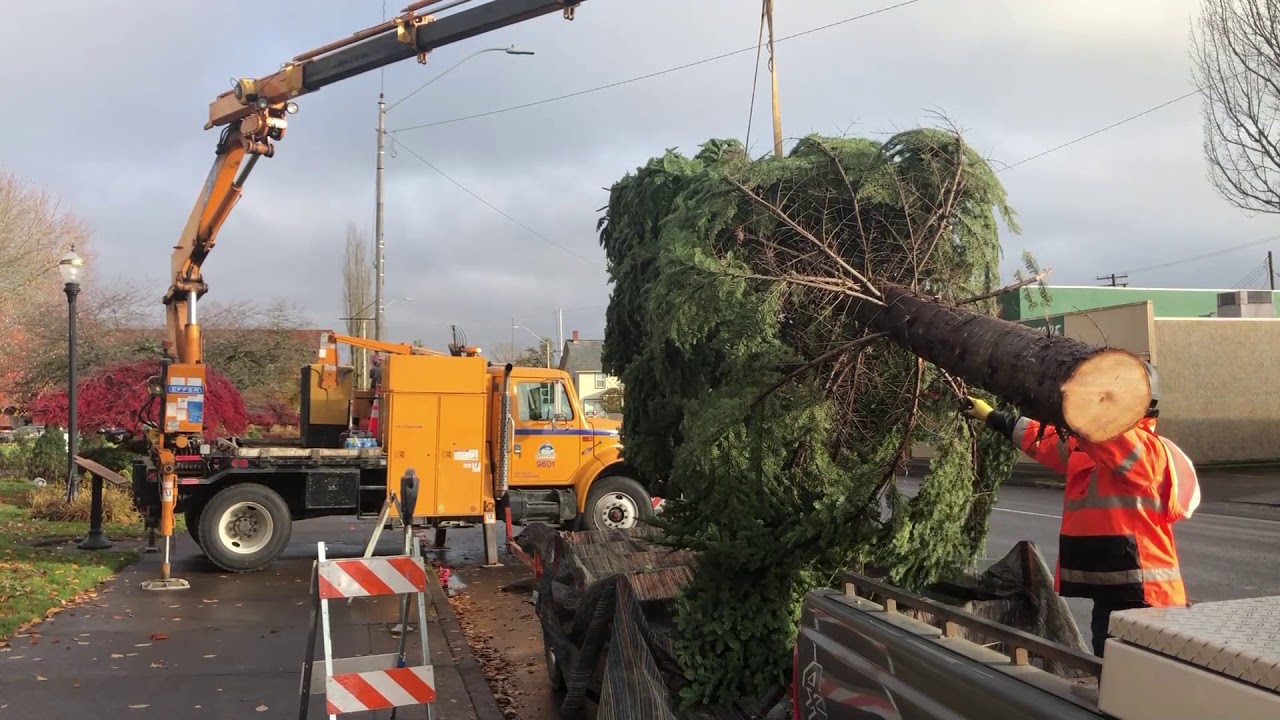Benton County Courthouse Christmas Tree 2020 YouTube