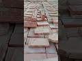 Bricks 35678#brick #bricks #viralreelsシ #foryouシ