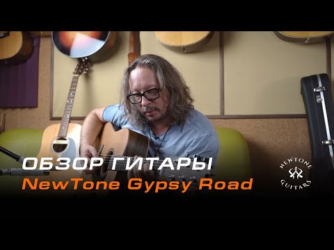 Обзор гитары Newtone