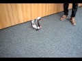 LEGO Robot Snake ( 31313 Mindstorms EV3)