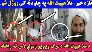 تازه خبر: ملا هیبت الله ووژل شو د ملا هیبت الله د مرګ ویډیو همدلته وګورئ. #Pashto_TV