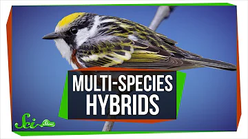 Can hybrid plants reproduce?