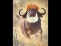 مجنون لیلا سره پختو ویله مجنون لیلا سره پختو ویله