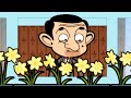 Frijol de Hotel | Mr Bean | Dibujos animados para niños | WildBrain en Español