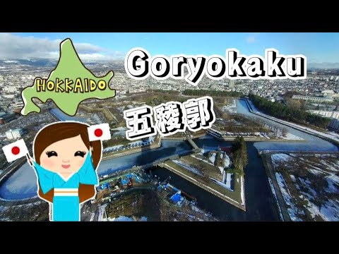 冬季漫游北海道 #goryokaku#tower#hokkaido#japan#函馆#北海道#日本#五稜郭公园#travelvideos #旅游 #beautifulscenery #snowy