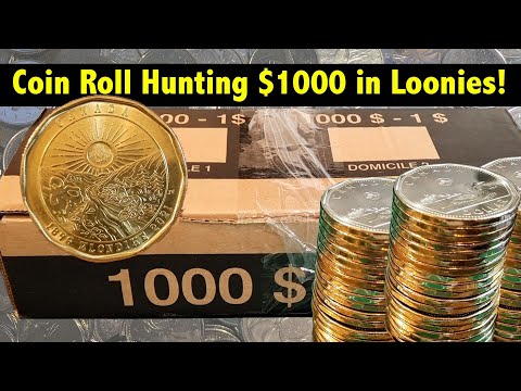 Coin Roll Hunting $1000 In Canadian $1 Loonies
