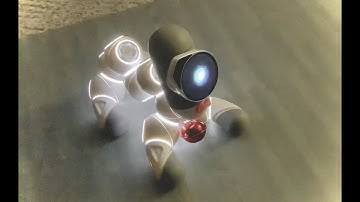 Jibo and Clicbot journey with camel bot by BJ3