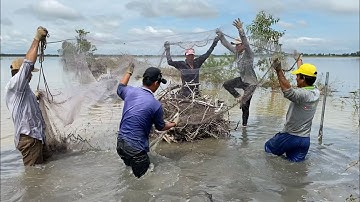 Chỉ Có Tại Bông Lúa Đồng Tháp • Chuyến Đi Săn Đầy Kịch Tính Từ Phút Đầu Tiên | Hunting