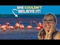 FINALLY! Flamingo's in Celestun Yucatan 🦩 | Mexico Travel Vlog 2021