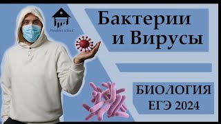 Бактерии и Вирусы для ЕГЭ 2024 |ЕГЭ БИОЛОГИЯ|Freedom|
