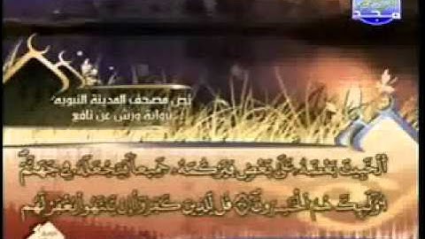 سورة الانفال كاملة الشيخ العيون الكوشي