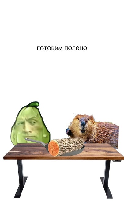 Сидим с бобром за столом #юмор - YouTube