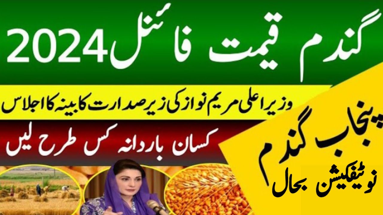 wheat price in pakistan 2024/ wheat support price 2024| gundam ka rate ...