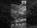 Remixlive, Chart Pop, Sunica_646